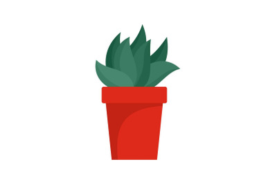 Cactus plant pot icon, flat style