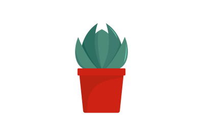 House cactus pot icon, flat style