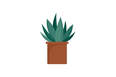 Aloe cactus pot icon, flat style