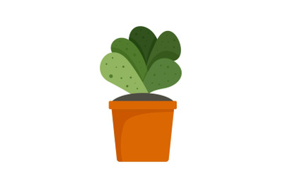 House cacti pot icon, flat style