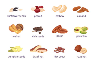 Nuts and seeds. Hazelnut&2C; almond&2C; walnut and peanut. Sunflower&2C; pumpki