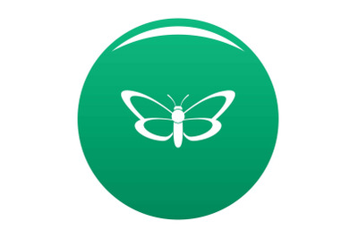 Nice butterfly icon vector green