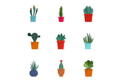 Succulent cactus icon set, flat style