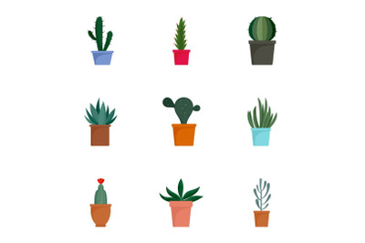 Succulent cactus plant icon set, flat style