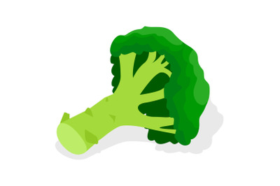 Green broccoli icon set, isometric style
