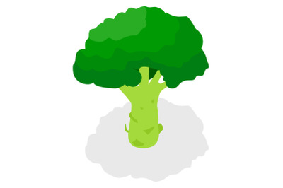 Broccoli icon set, isometric style