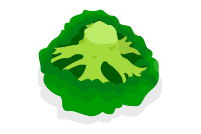 Fresh broccoli icon set, isometric style