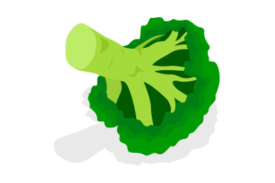 Eco broccoli icon set, isometric style