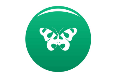 Flying butterfly icon vector green