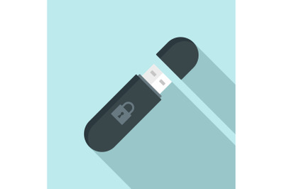 Secured usb flash icon, flat style