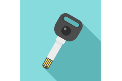 Usb digital lock key icon, flat style