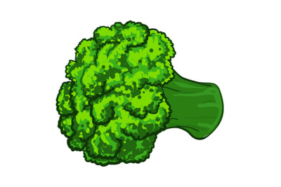 Broccoli icon, cartoon style