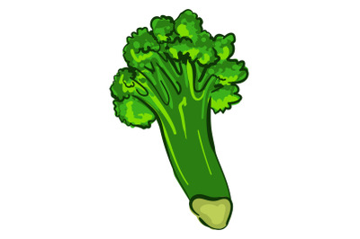 Organic broccoli icon, cartoon style