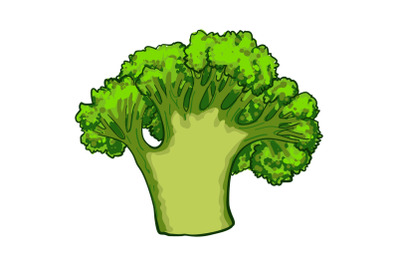 Green broccoli icon, cartoon style