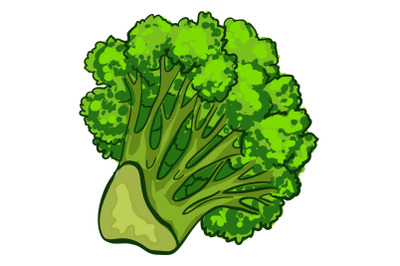 Fresh broccoli icon, cartoon style