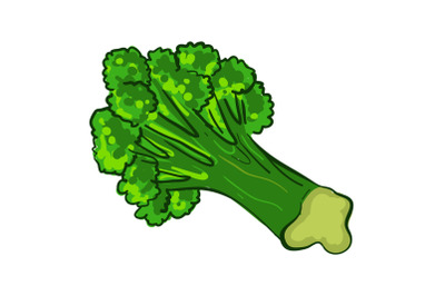 Garden broccoli icon, cartoon style