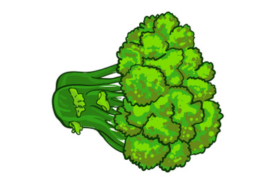 Eco broccoli icon, cartoon style