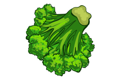 Broccoli vegetable icon, cartoon style