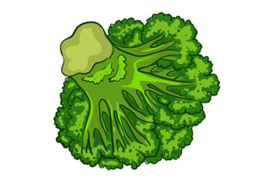Vegan broccoli icon, cartoon style