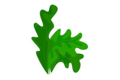 Frisee lettuce icon, cartoon style