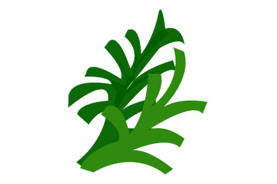 Lettuce icon, cartoon style