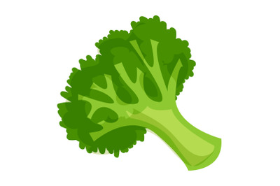 Healthy broccoli icon, cartoon style
