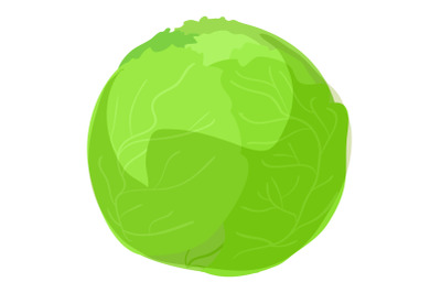 Green cabbage icon, cartoon style