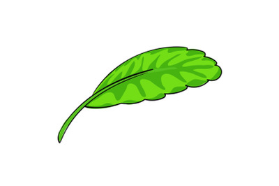 Lettuce leaf icon, cartoon style