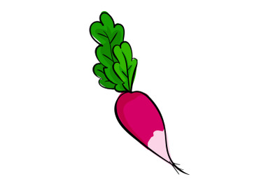 Eco red radish icon, cartoon style