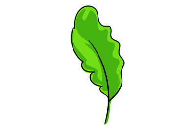 Salat leaf icon, cartoon style