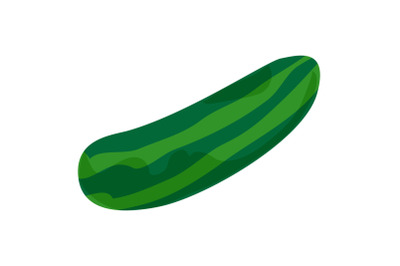 Zucchini icon, cartoon style
