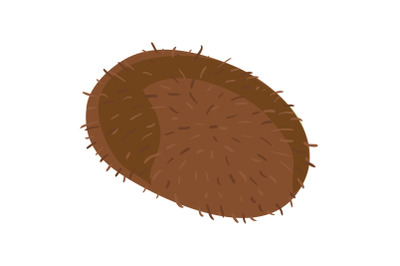 Whole kiwi icon, cartoon style