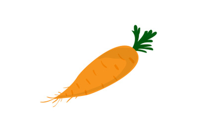 Garden carrot icon, cartoon style