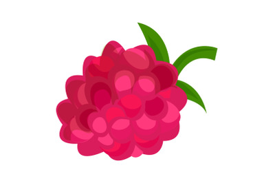 Raspberry icon, cartoon style