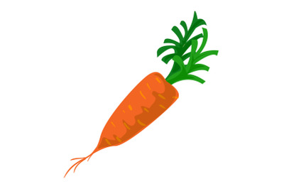 Eco carrot icon, cartoon style