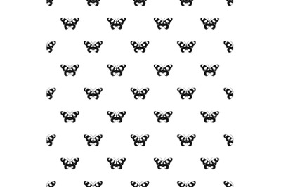 Flying butterfly pattern seamless vector