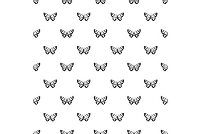 Exotic butterfly pattern seamless vector