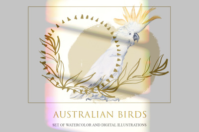 Australian birds