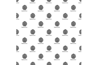 Staphylococcus aureus pattern seamless vector