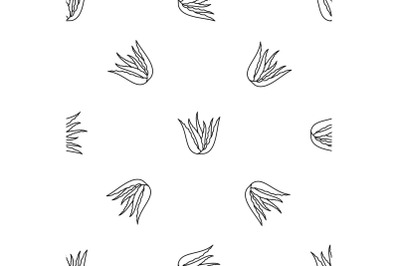 Aloe vera plant pattern seamless vector