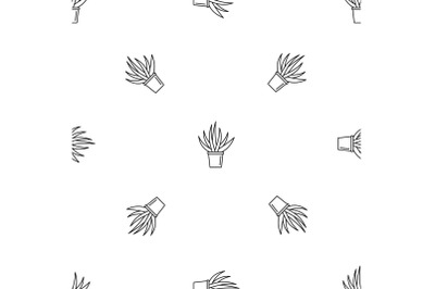 Aloe housepot pattern seamless vector