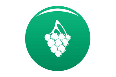 Sultana grape icon vector green