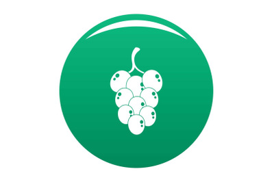 Grape for wine icon vector green