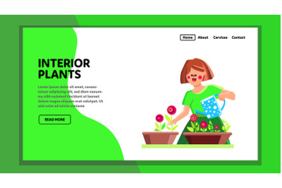 Interior Plants Care And Watering Woman Vector