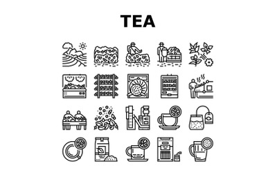 Tea Drink Production Collection Icons Set Vector