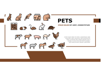 Pets Domestic Animal Landing Header Vector