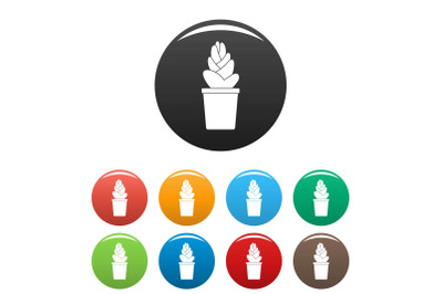 Sand cactus pot icons set color