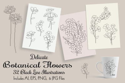 Botanical Flower Illustrations