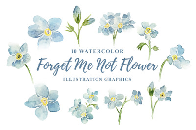 10 Watercolor Forget Me Not Illustration Graphics