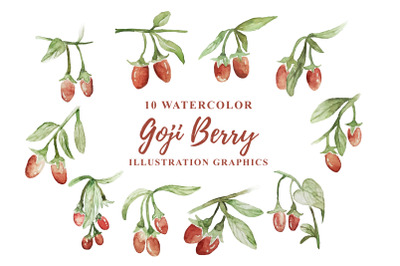 10 Watercolor Goji Berry Illustration Graphics